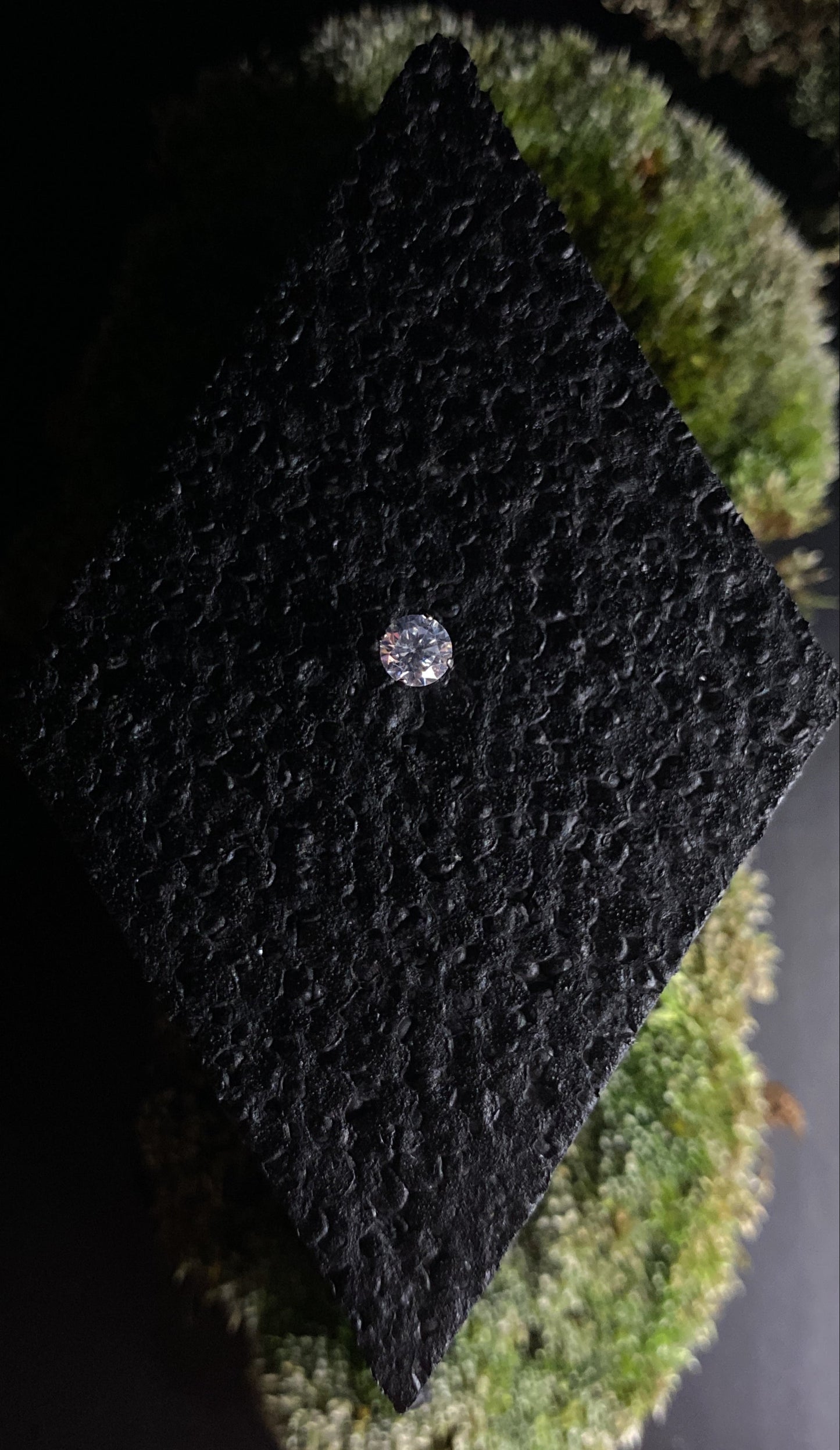 Threadless Titanium Prong Top