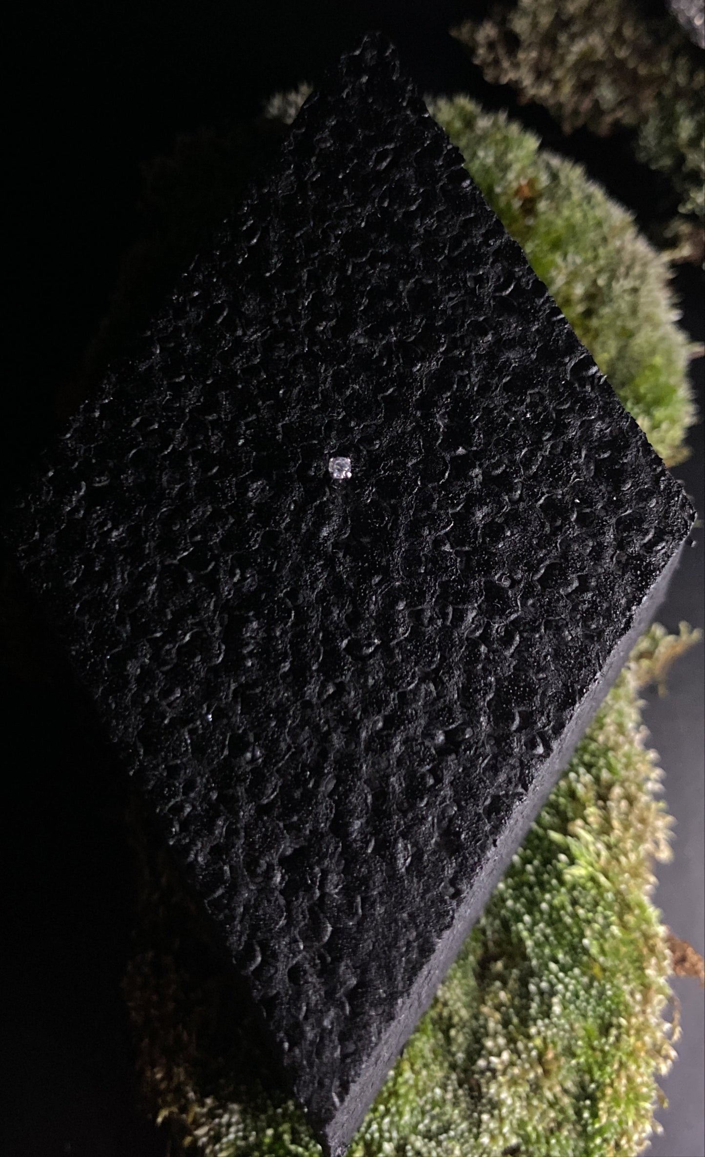 Threadless Titanium Prong Top